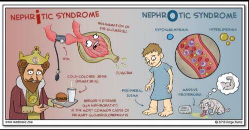 دانلود کتاب MedComic